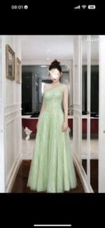 Váy dài vip 1 - Ảnh 2