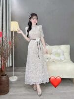 Váy dài vip 2 - Ảnh 4