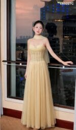 Váy dài vip 1 - Ảnh 13