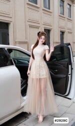 Váy dài vip 1 - Ảnh 32